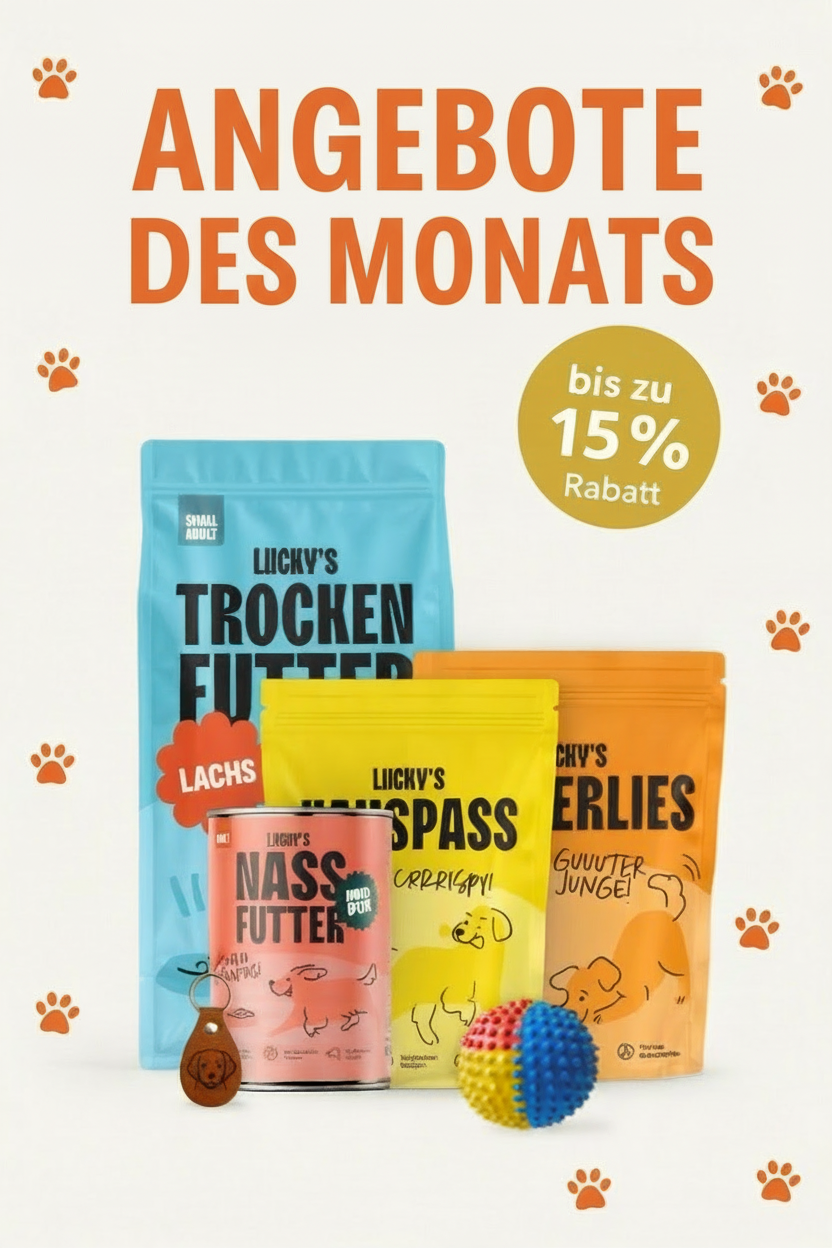 Angebote des Monats