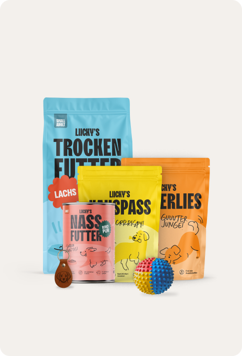 Special Boxen