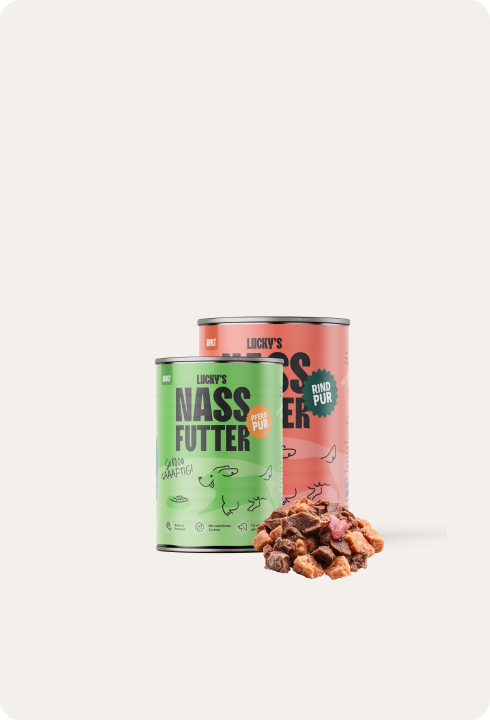 Nassfutter