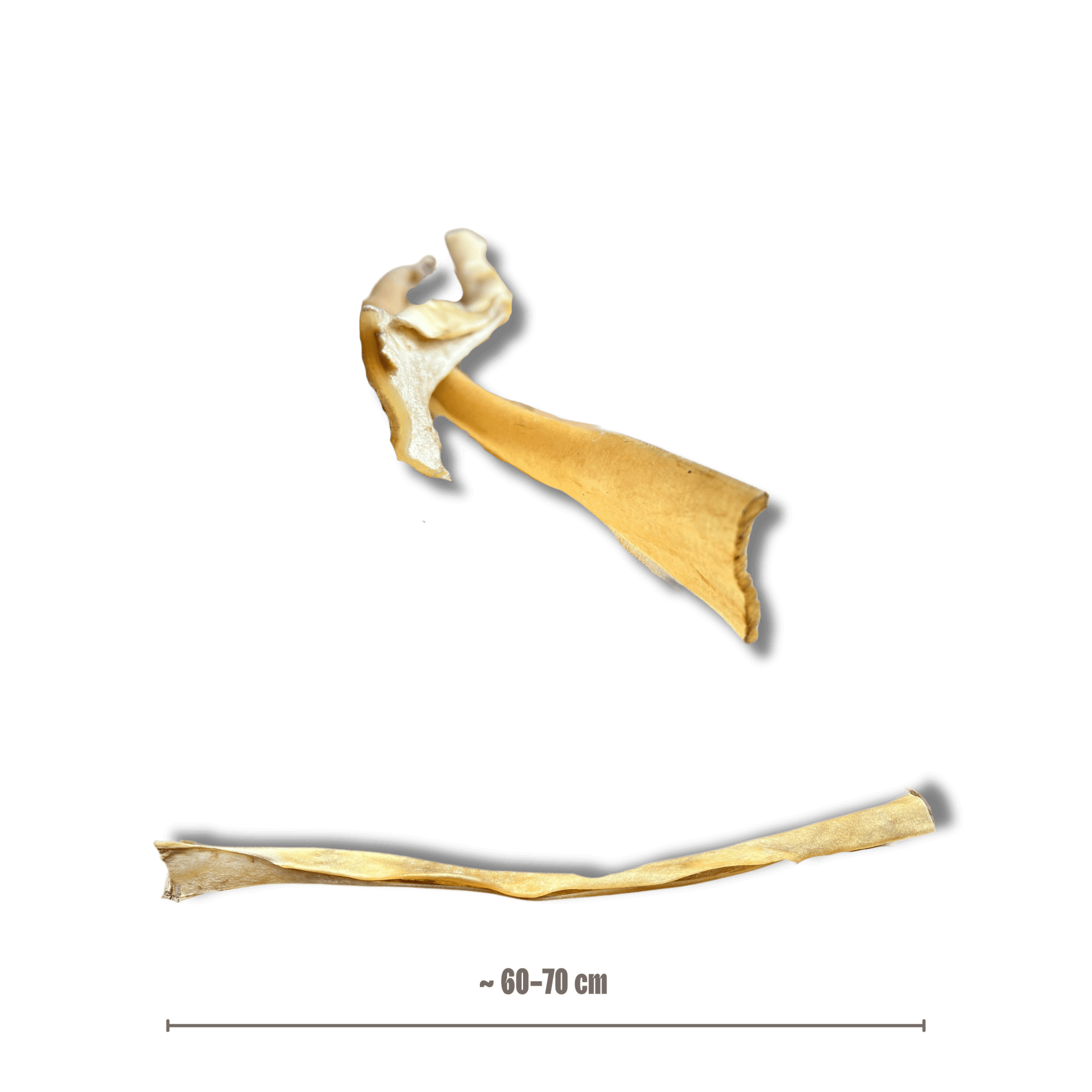 Büffelhaut Stange (XL)