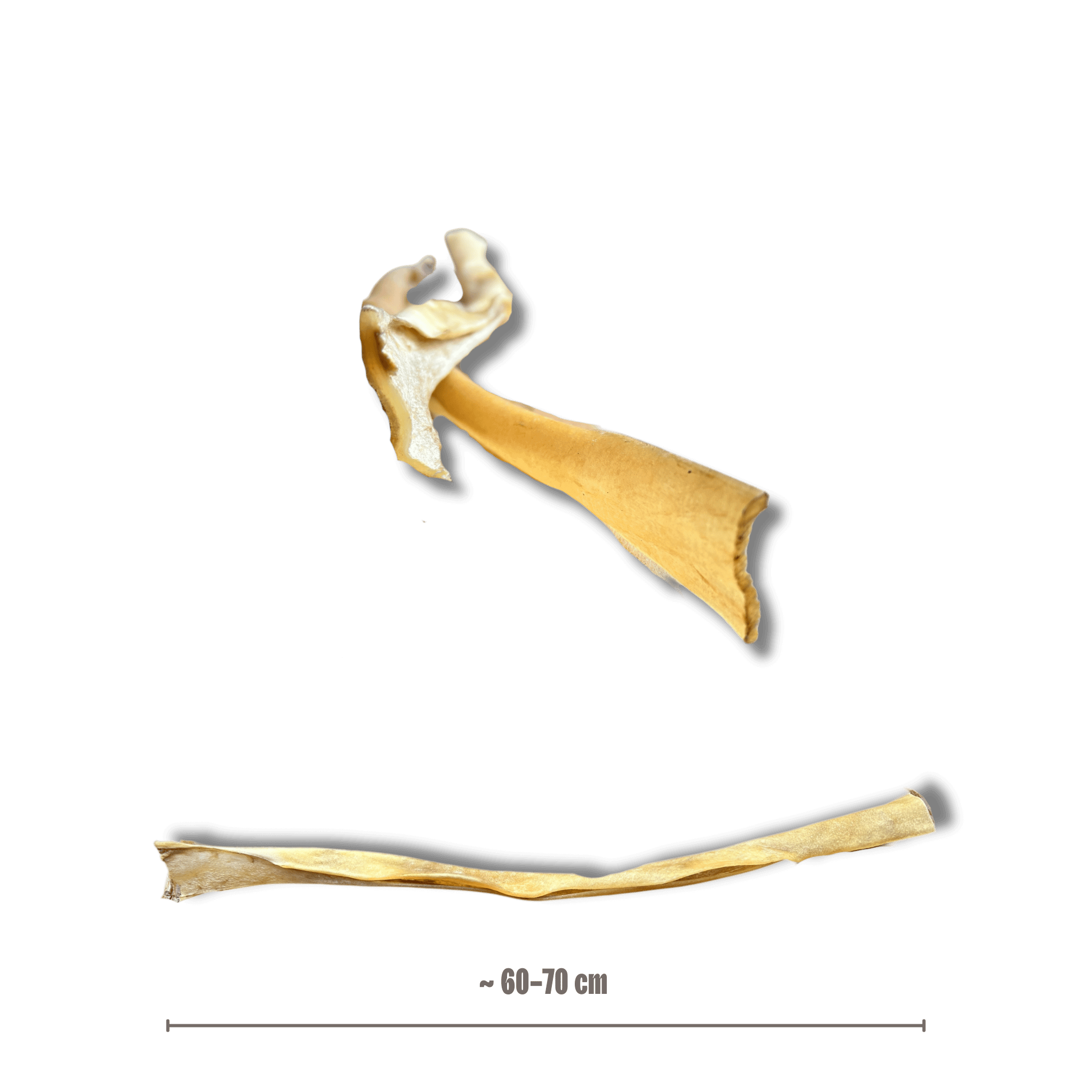 Büffelhaut Stange (XL)