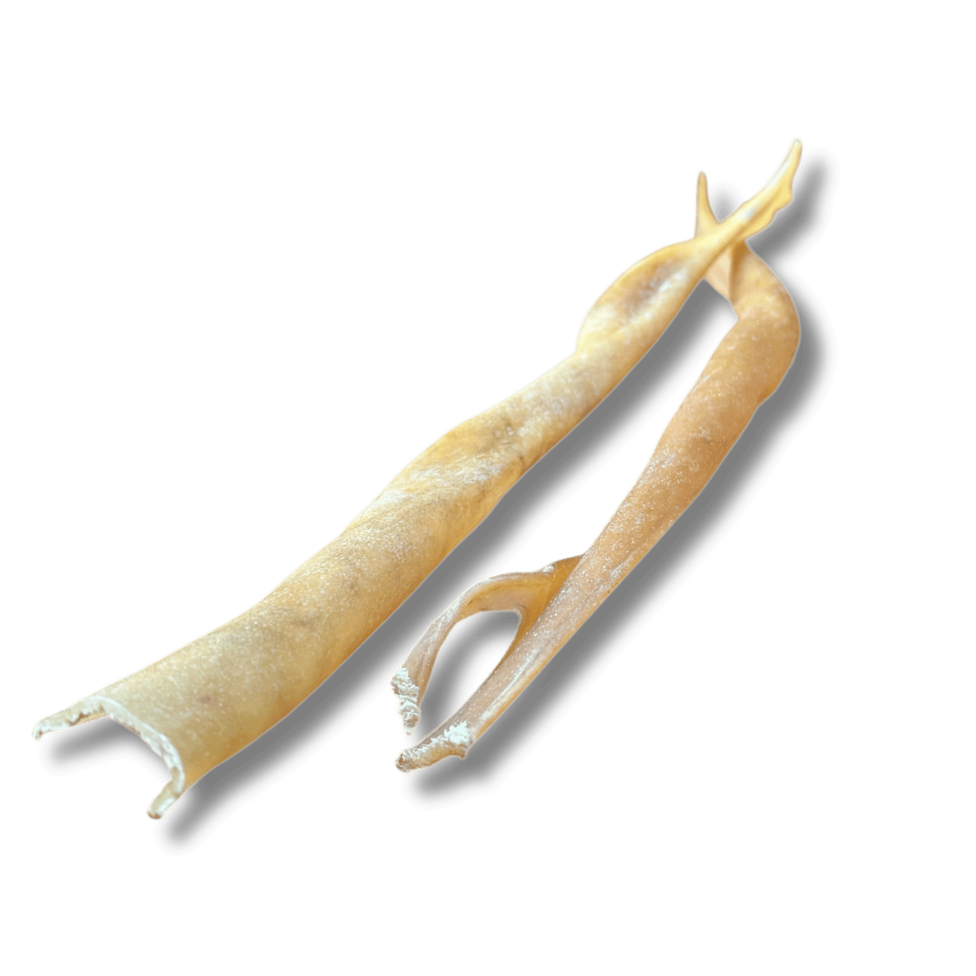 Büffelhaut Stange (XL)