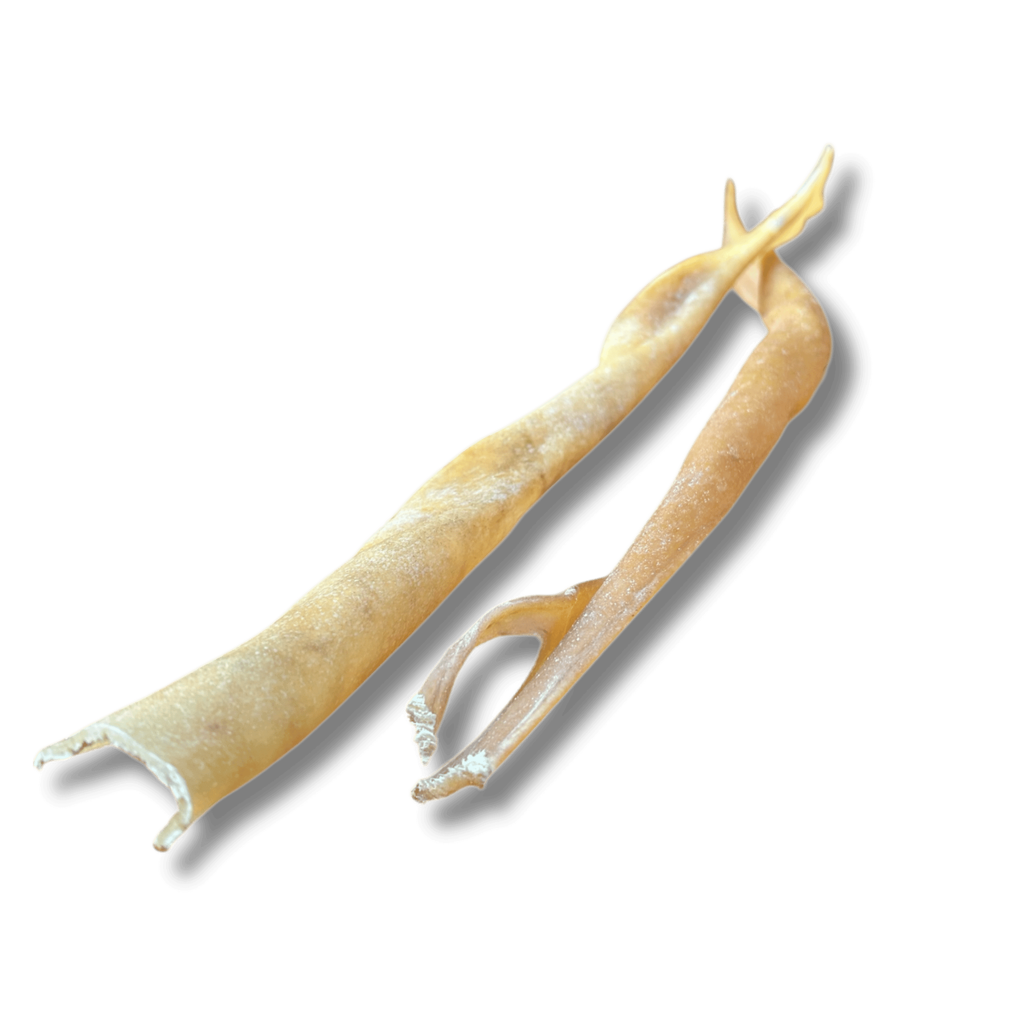 Büffelhaut Stange (XL)