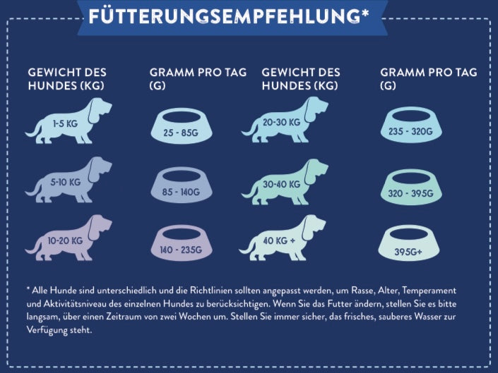 Schottischer Lachs mit Dill, Spinat, Fenchel und Spargel