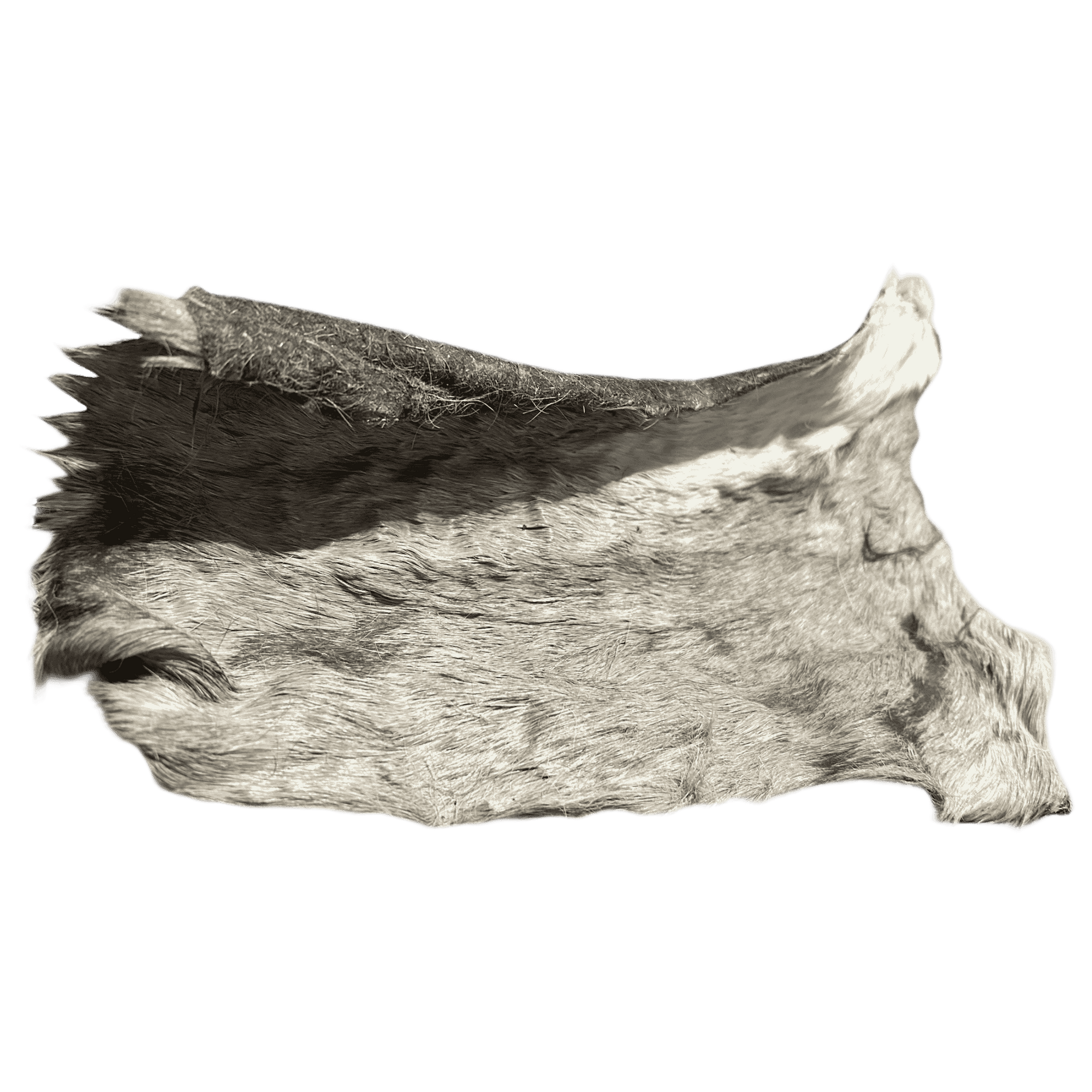Pferde Haut Platten mit Fell