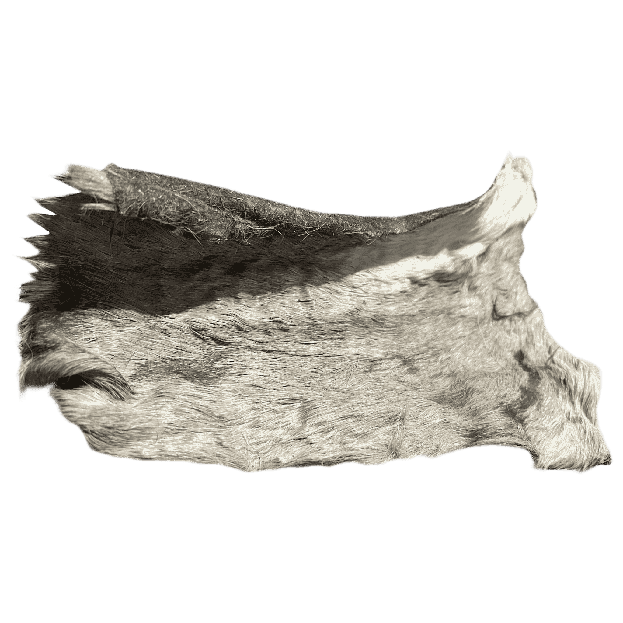 Pferde Haut Platten mit Fell