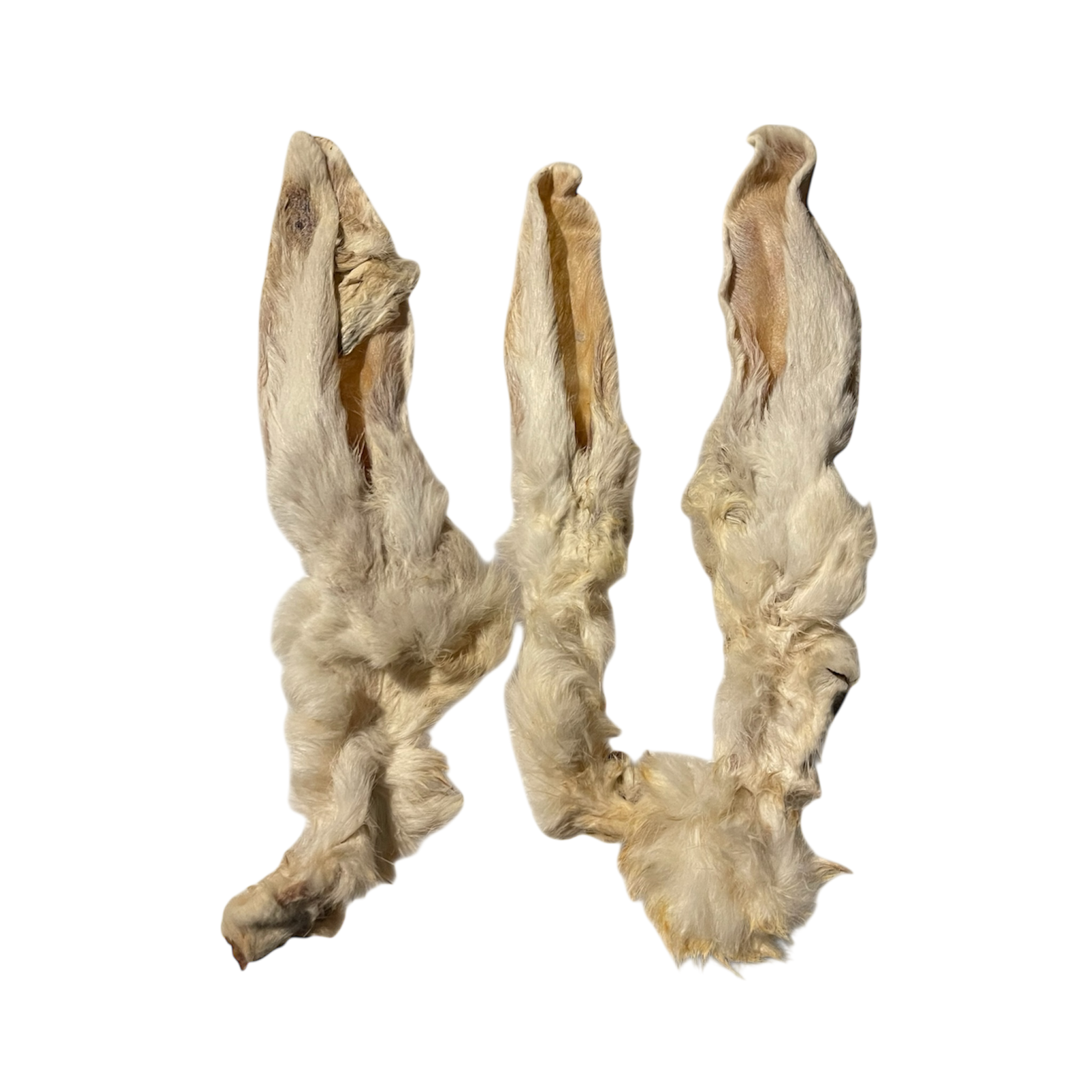 Kaninchenohren mit Fell