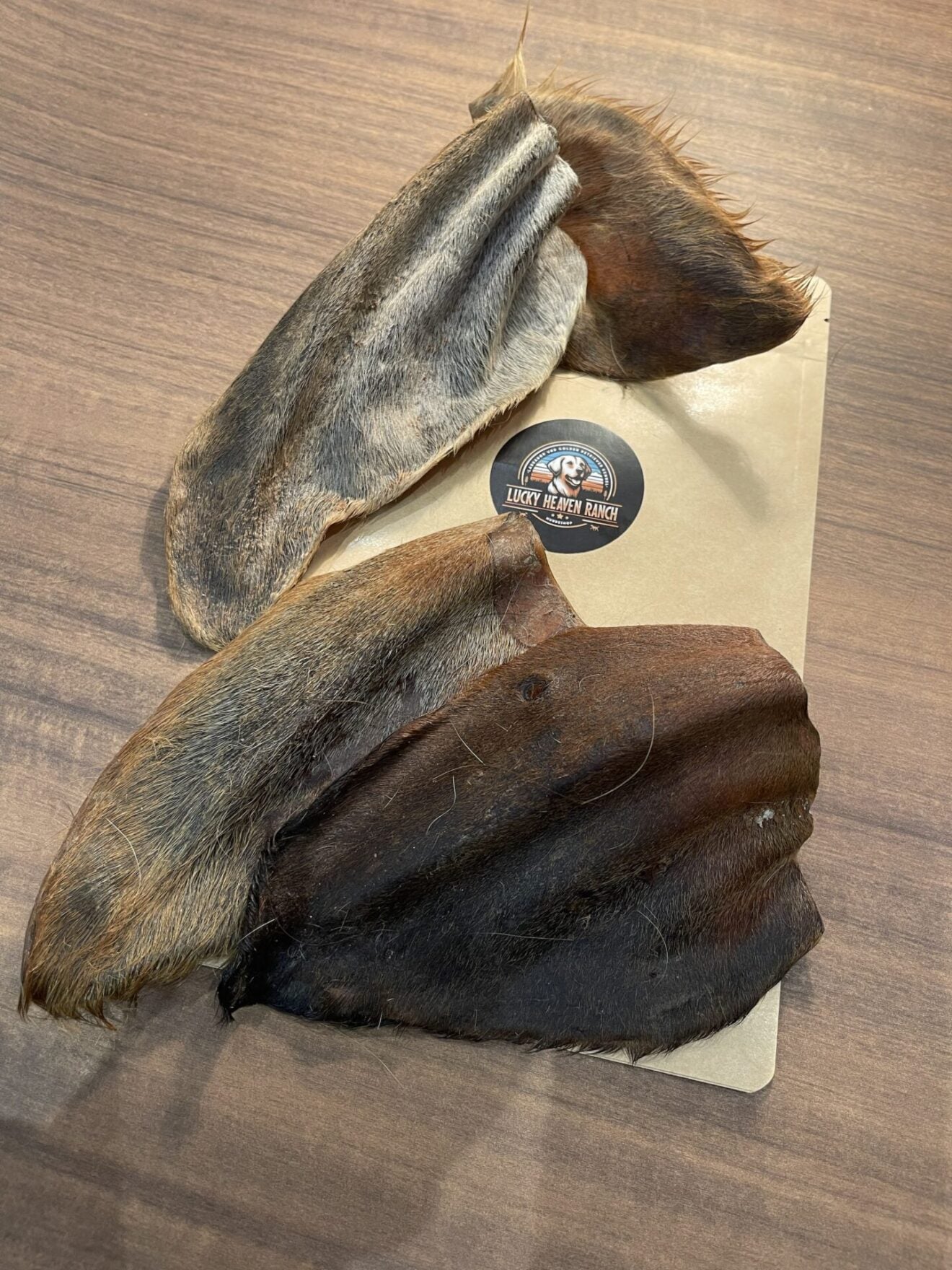 Büffel Ohren mit Fell L