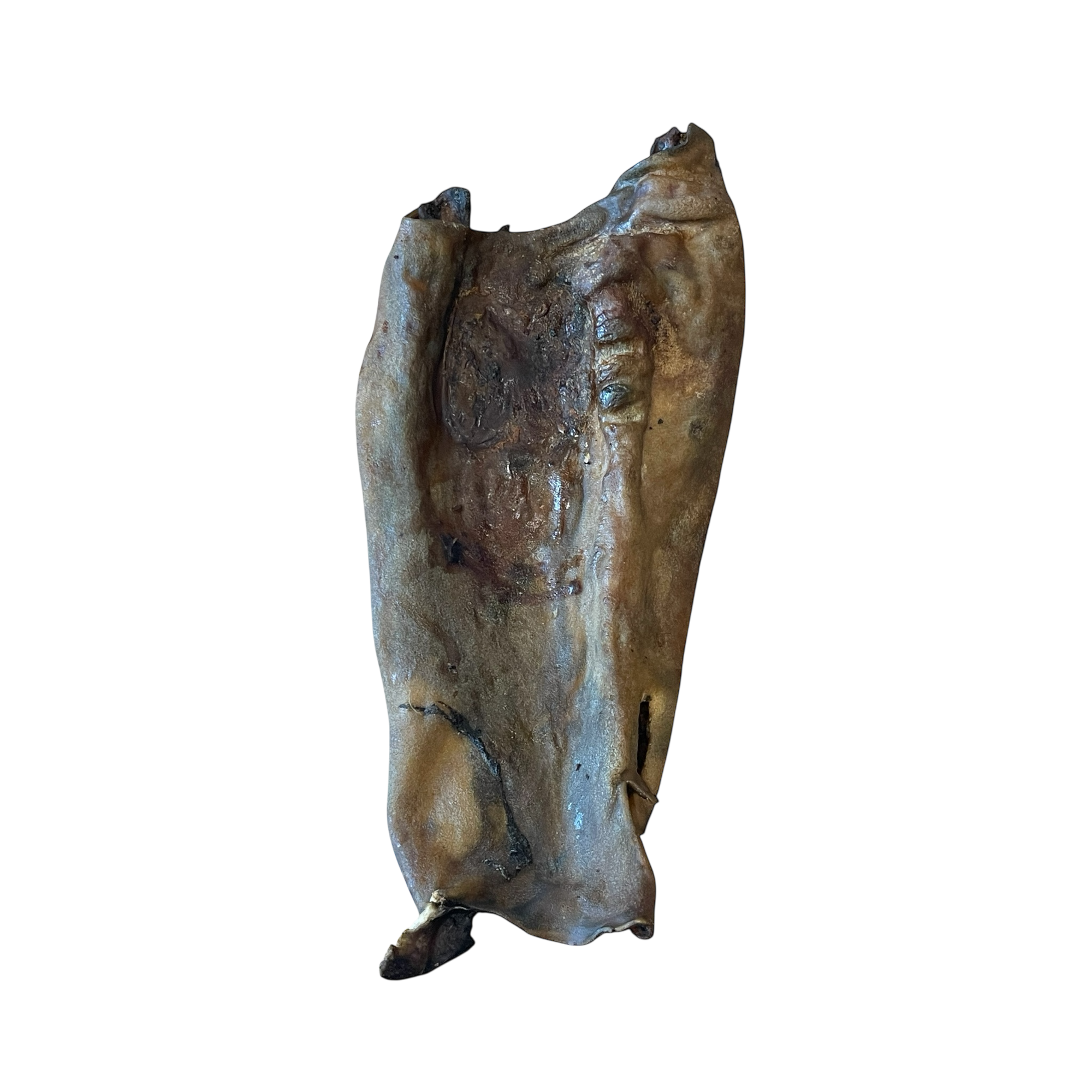 Pferde Kopfhaut Platten Dunkel