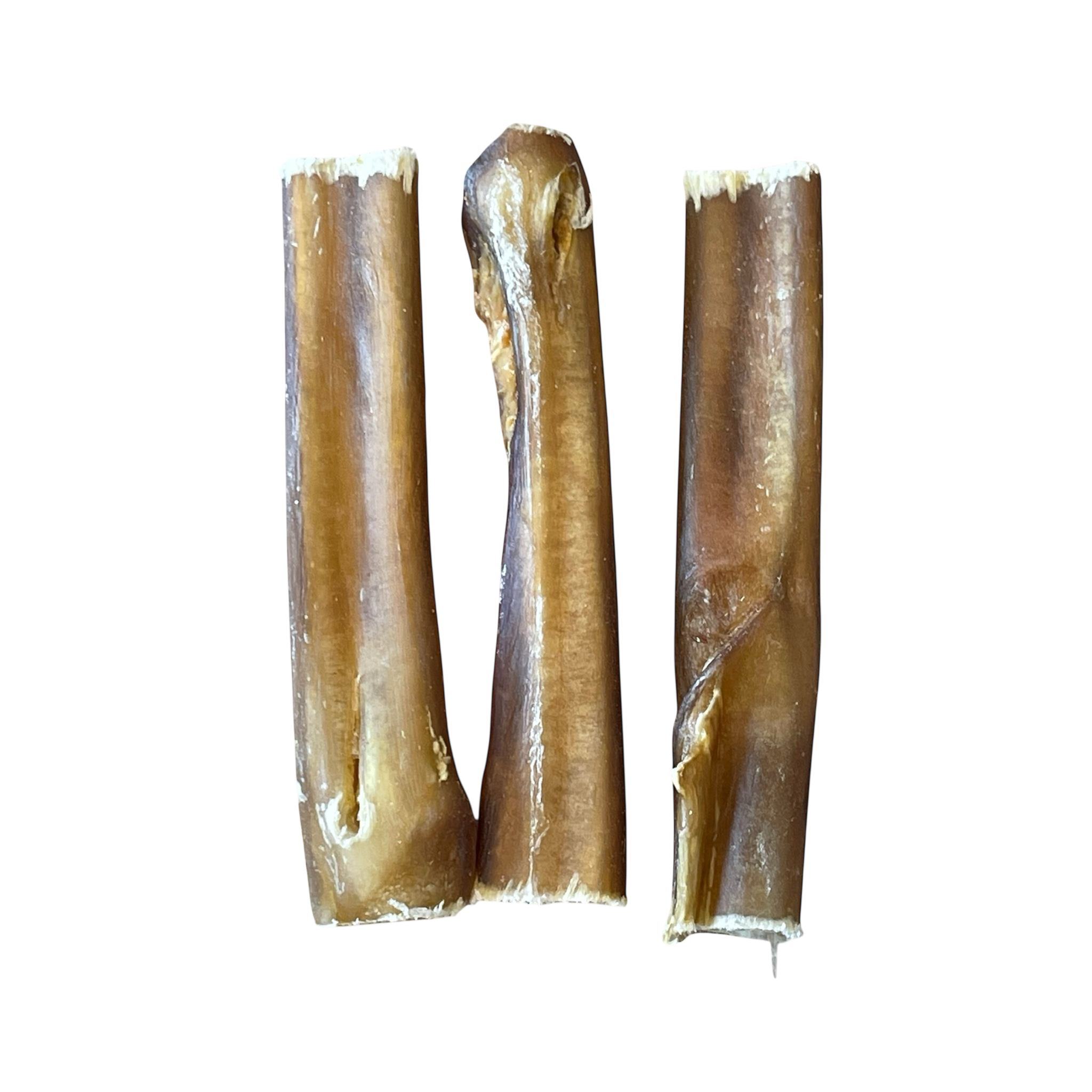 Ochsen Ziemer 12cm