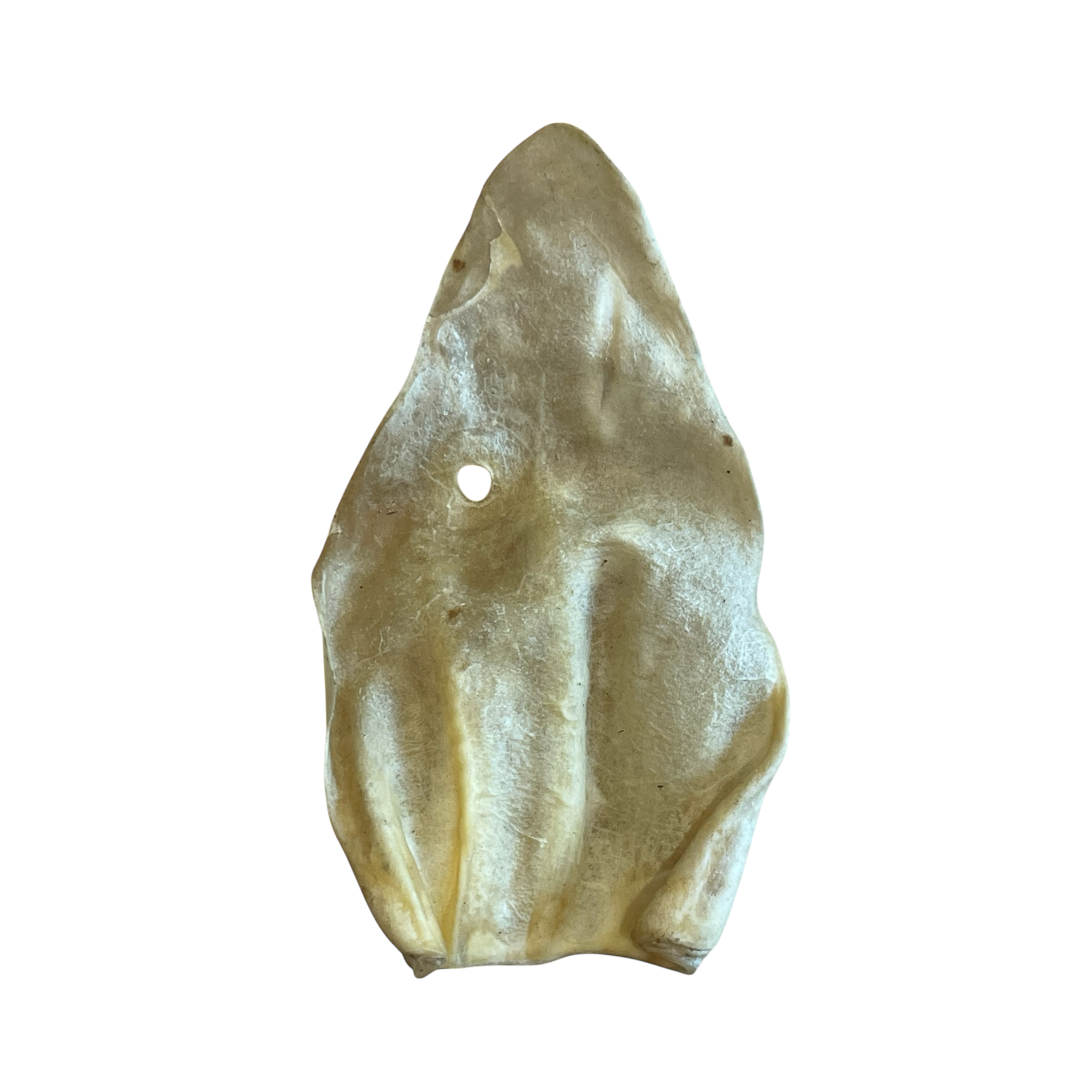 Rinder Ohren  ohne Fell-L