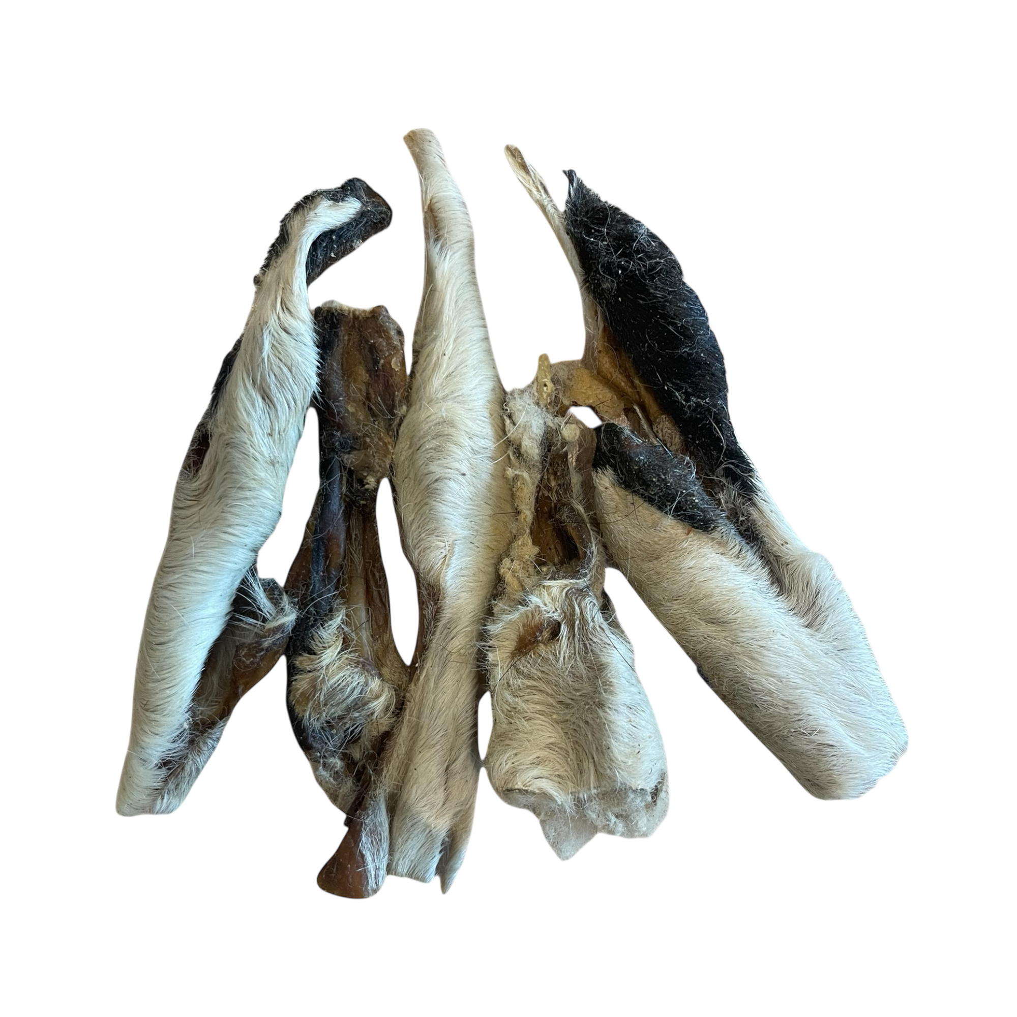 Lamm Kopfhaut mit Fell