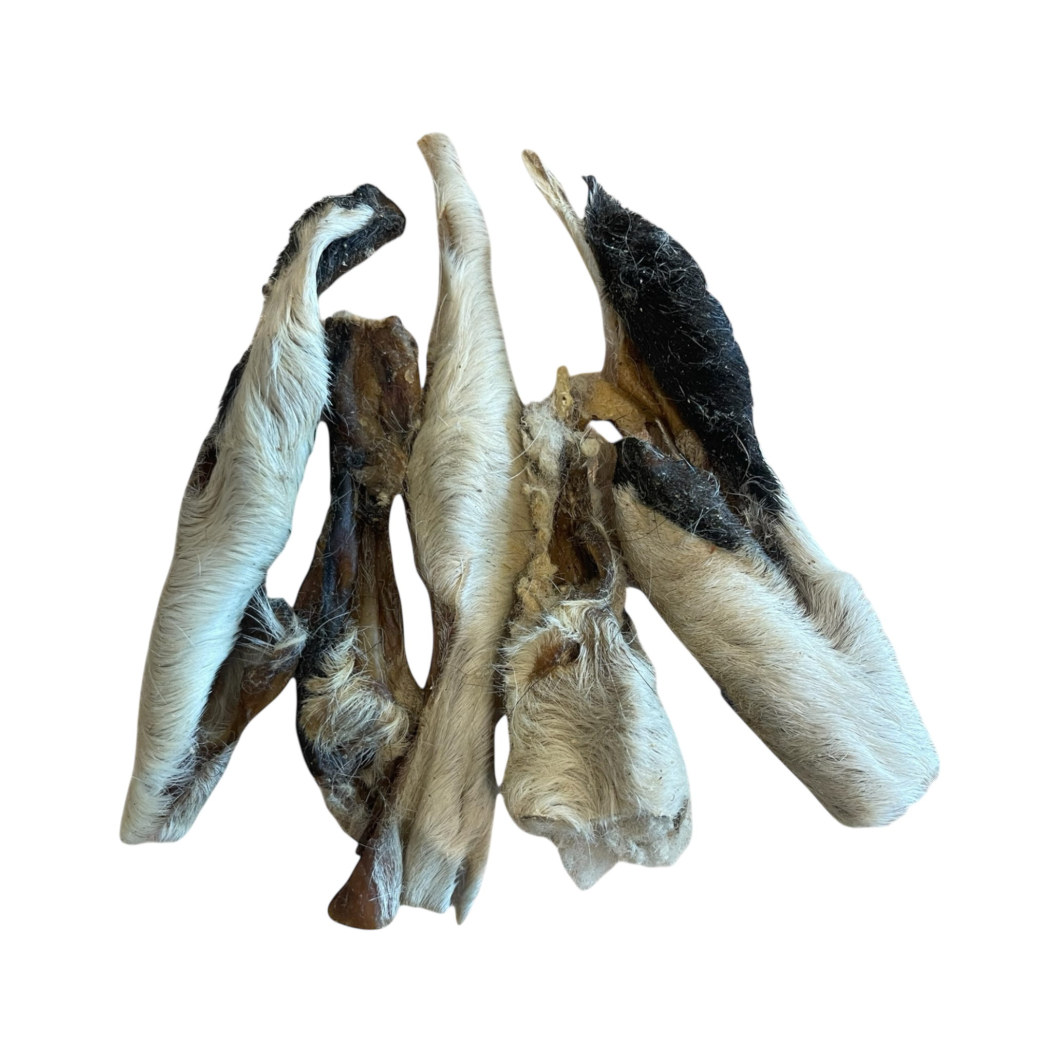 Lamm Kopfhaut mit Fell