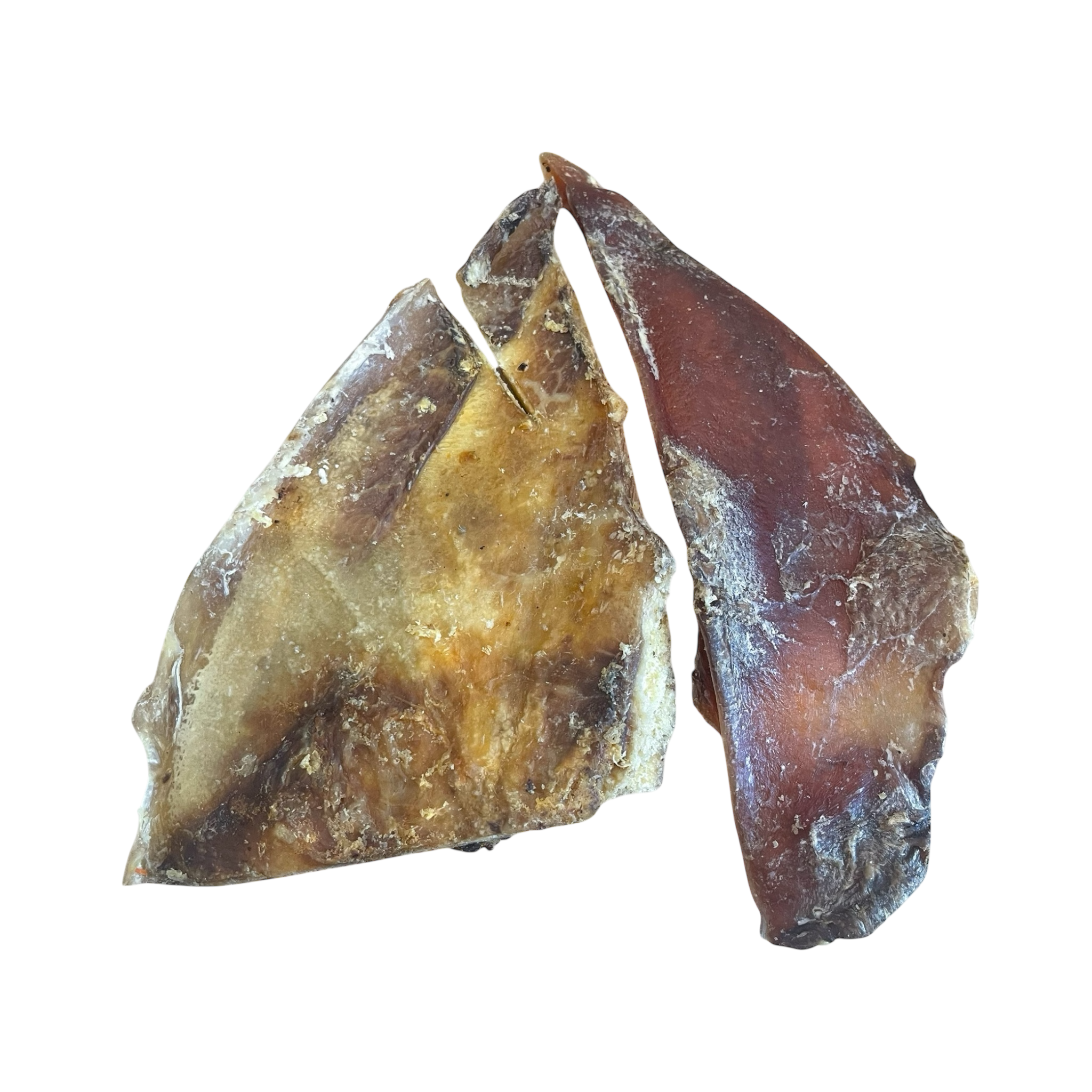 Rinder Schulterblatt