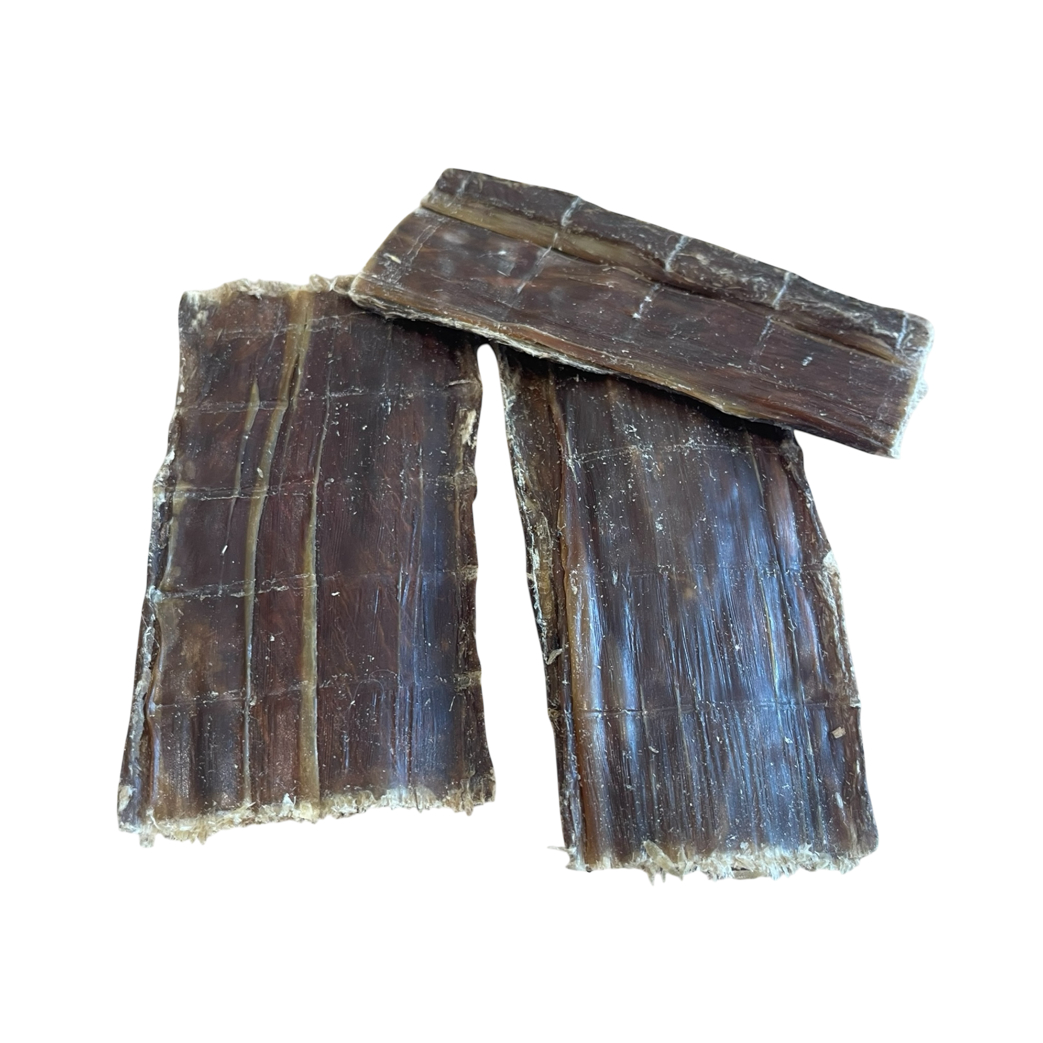 Rinder Schlund Flach