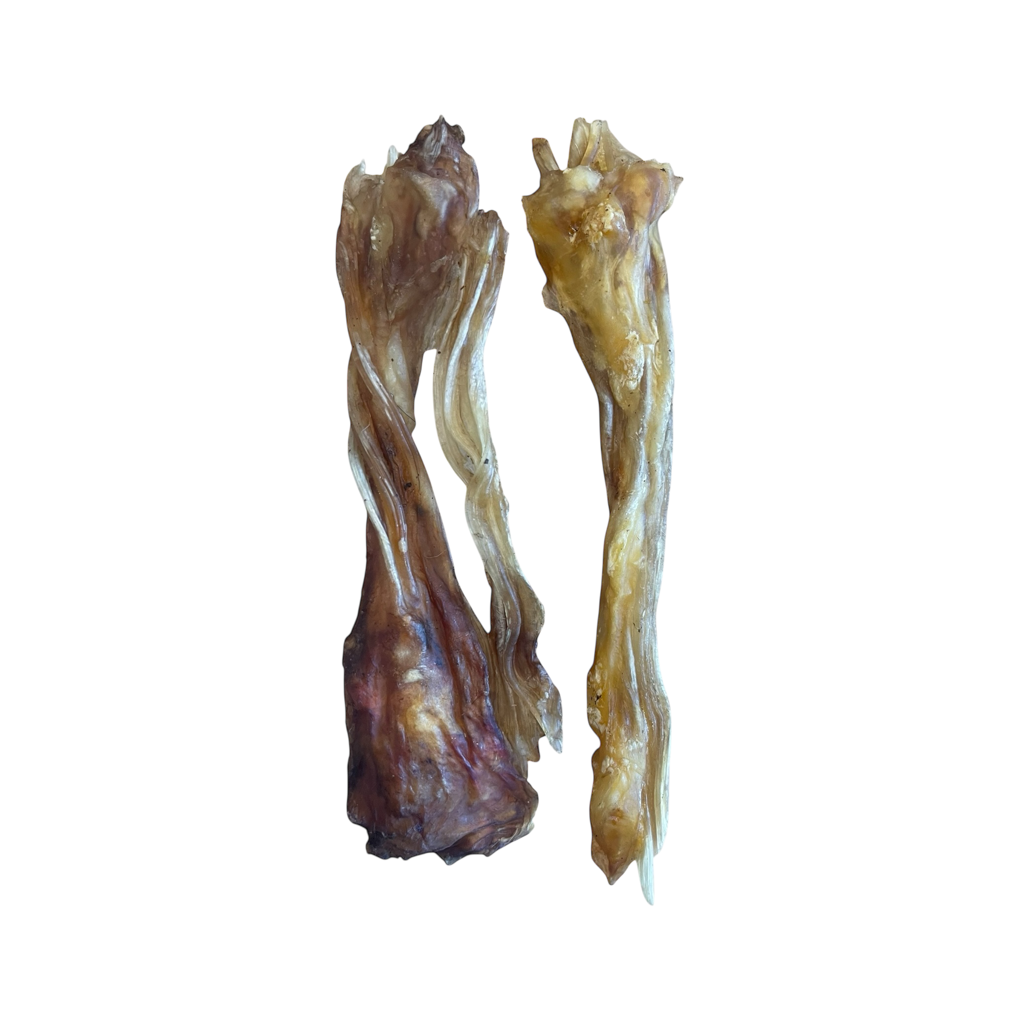 Rinder Achillessehne