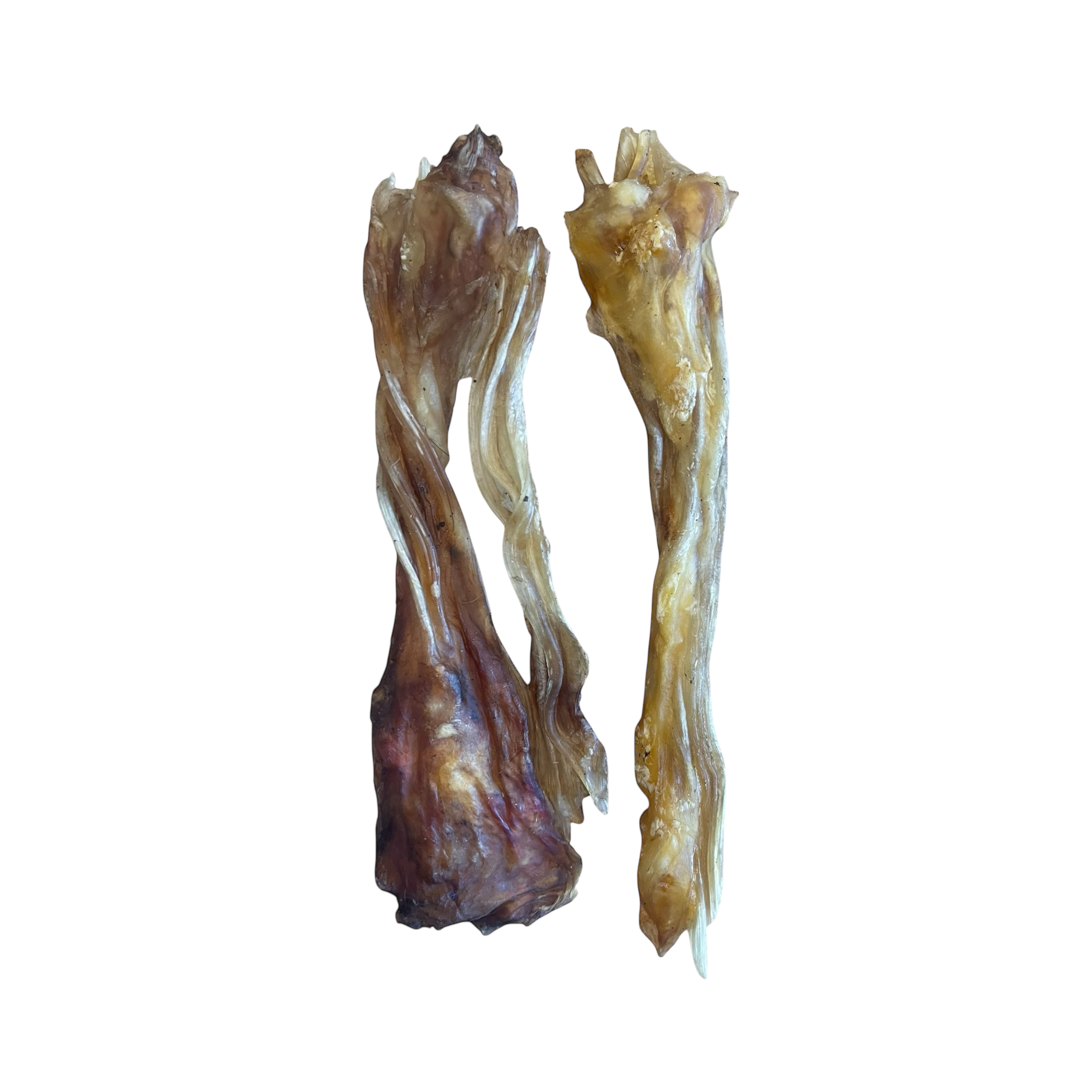 Rinder Achillessehne