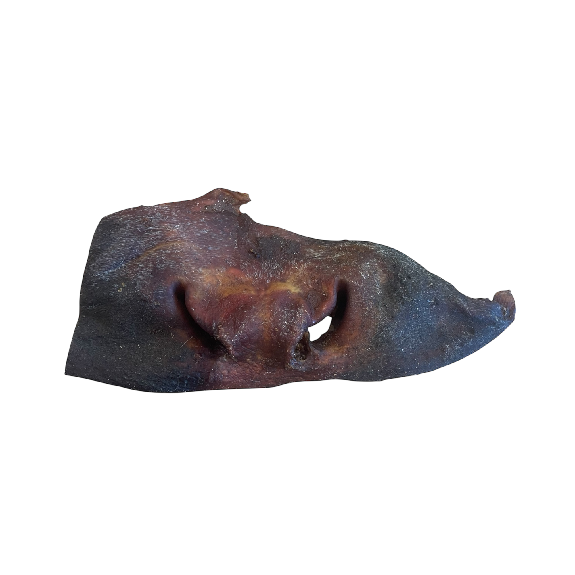 Rinder Nase mit Haut