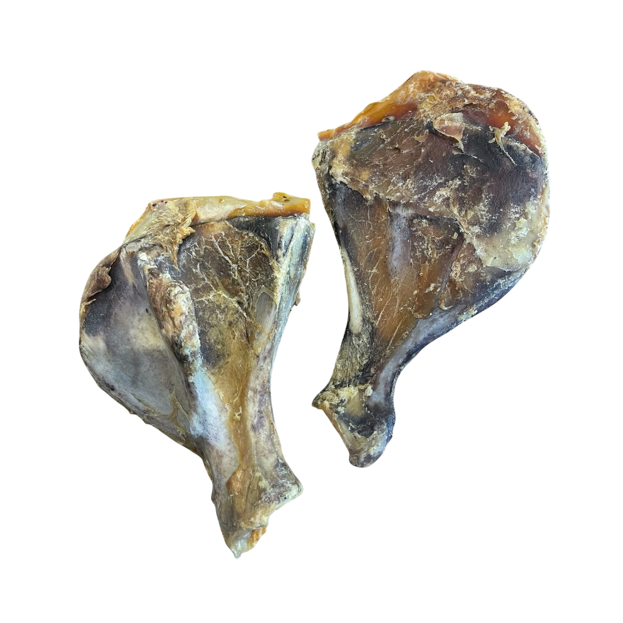 Schweine Schulter Knochen