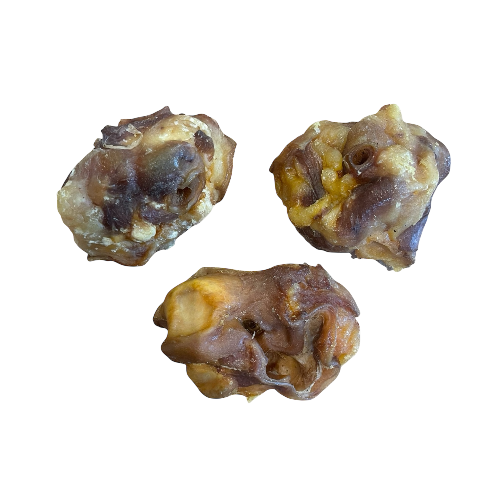 Schweine Ohr Muscheln