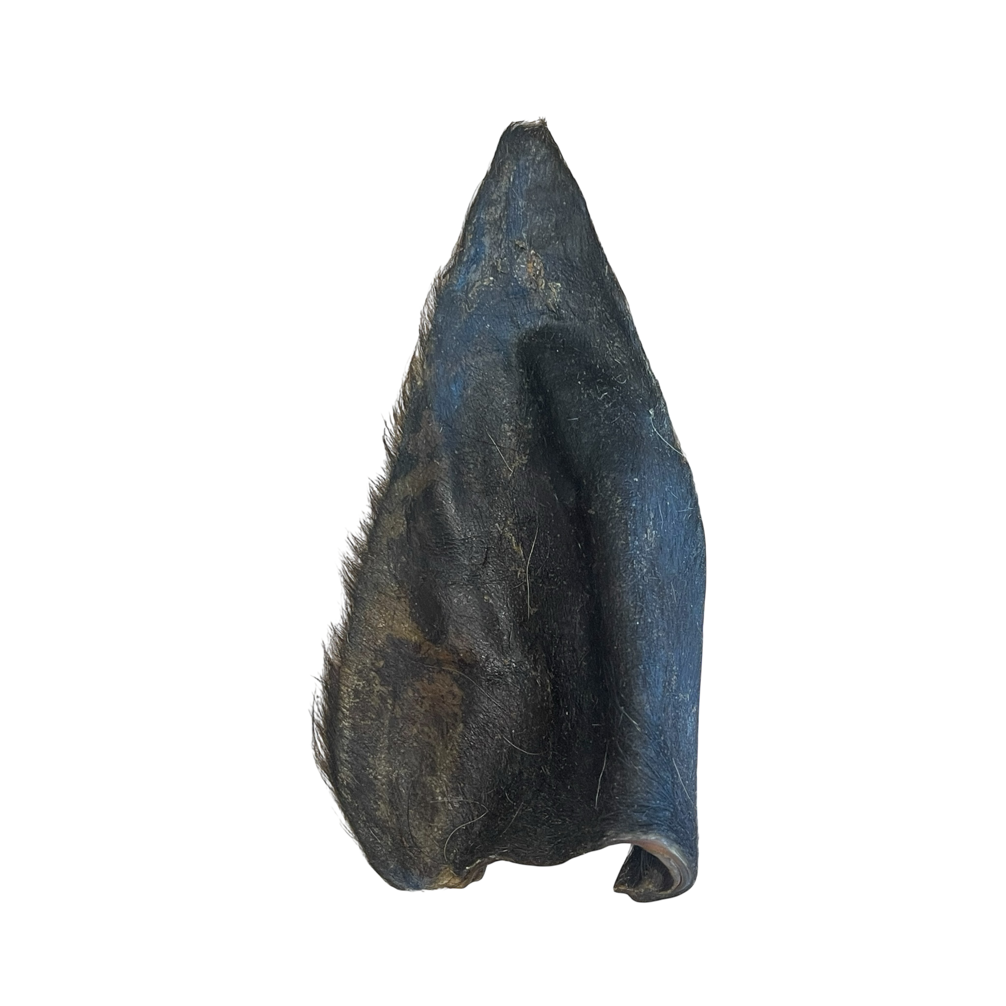 Büffel Ohren mit Fell L