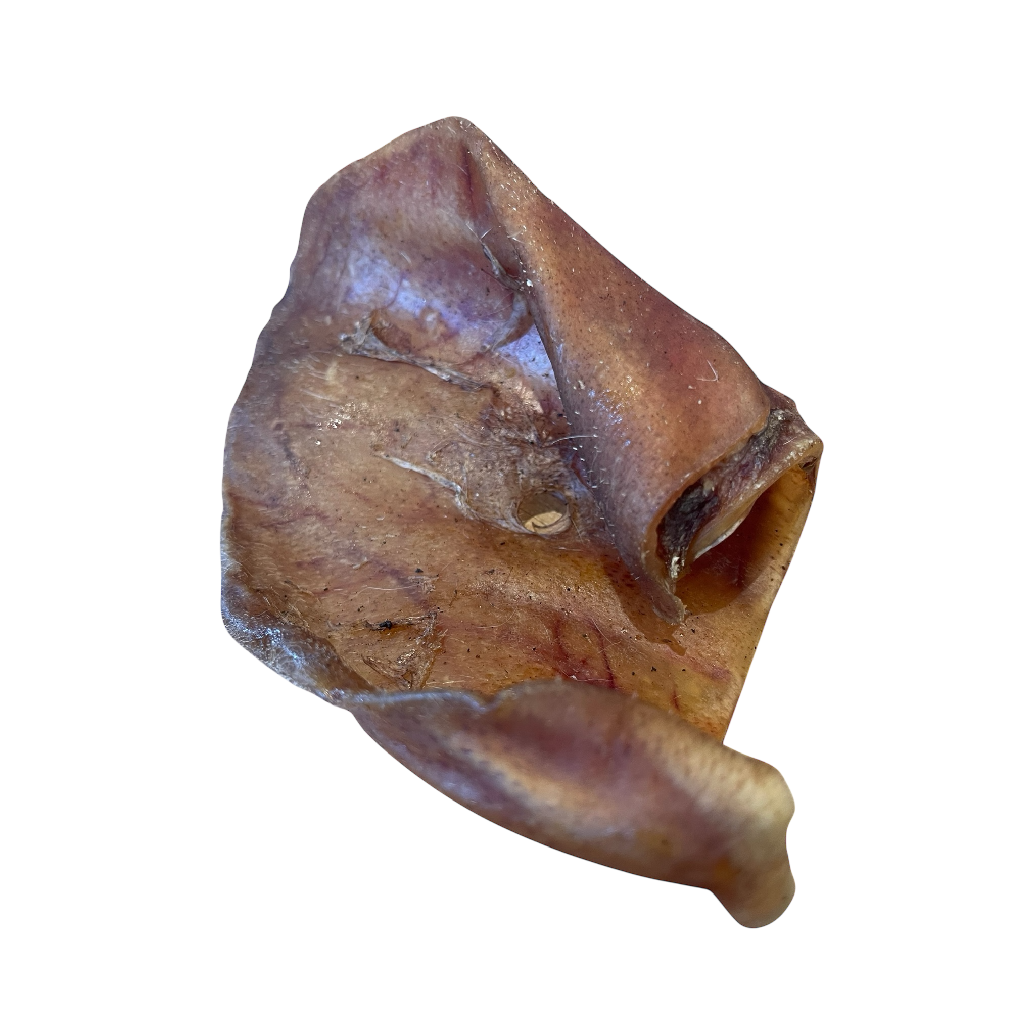 Schweine Ohr L
