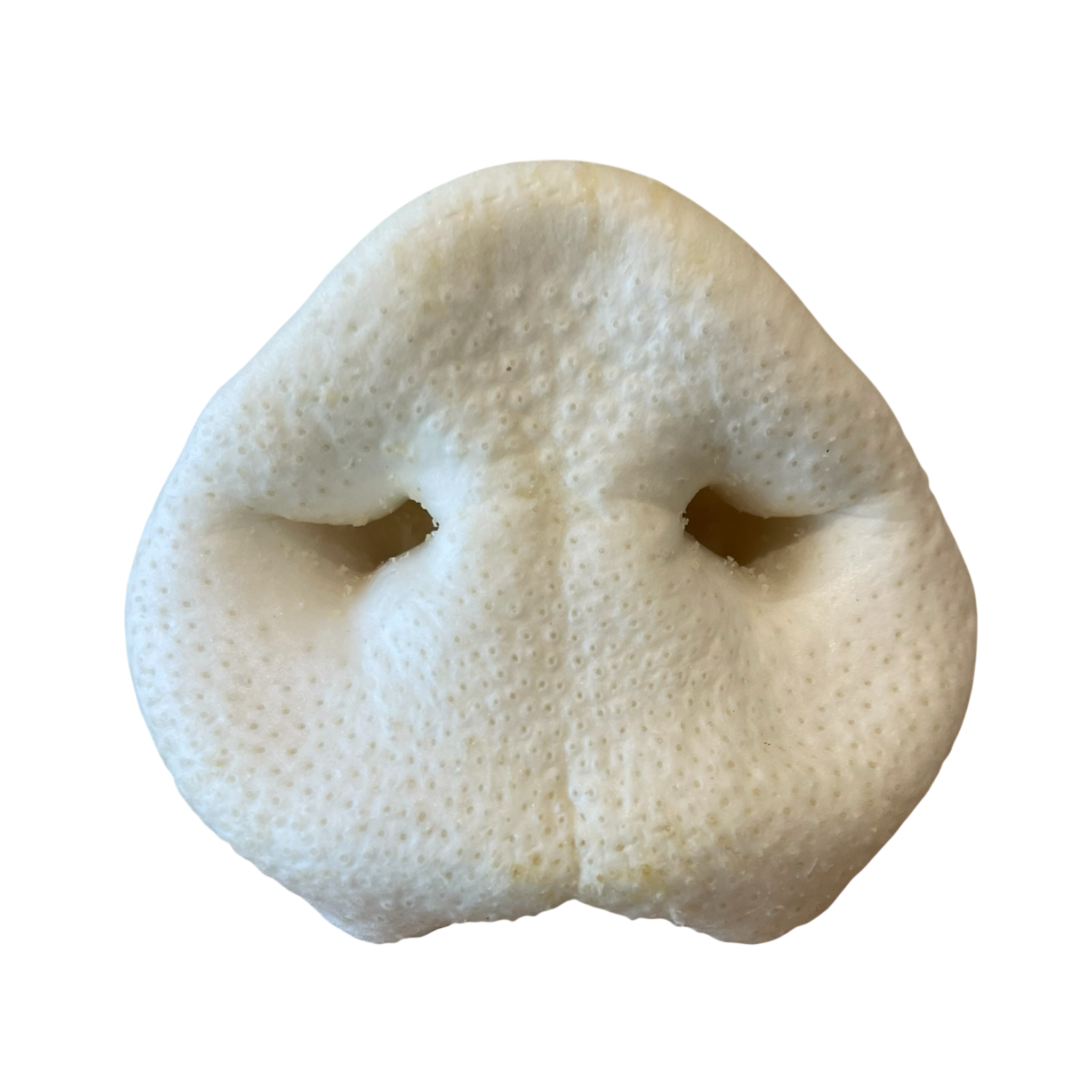 Schweine Nase Weiß XL gepufft