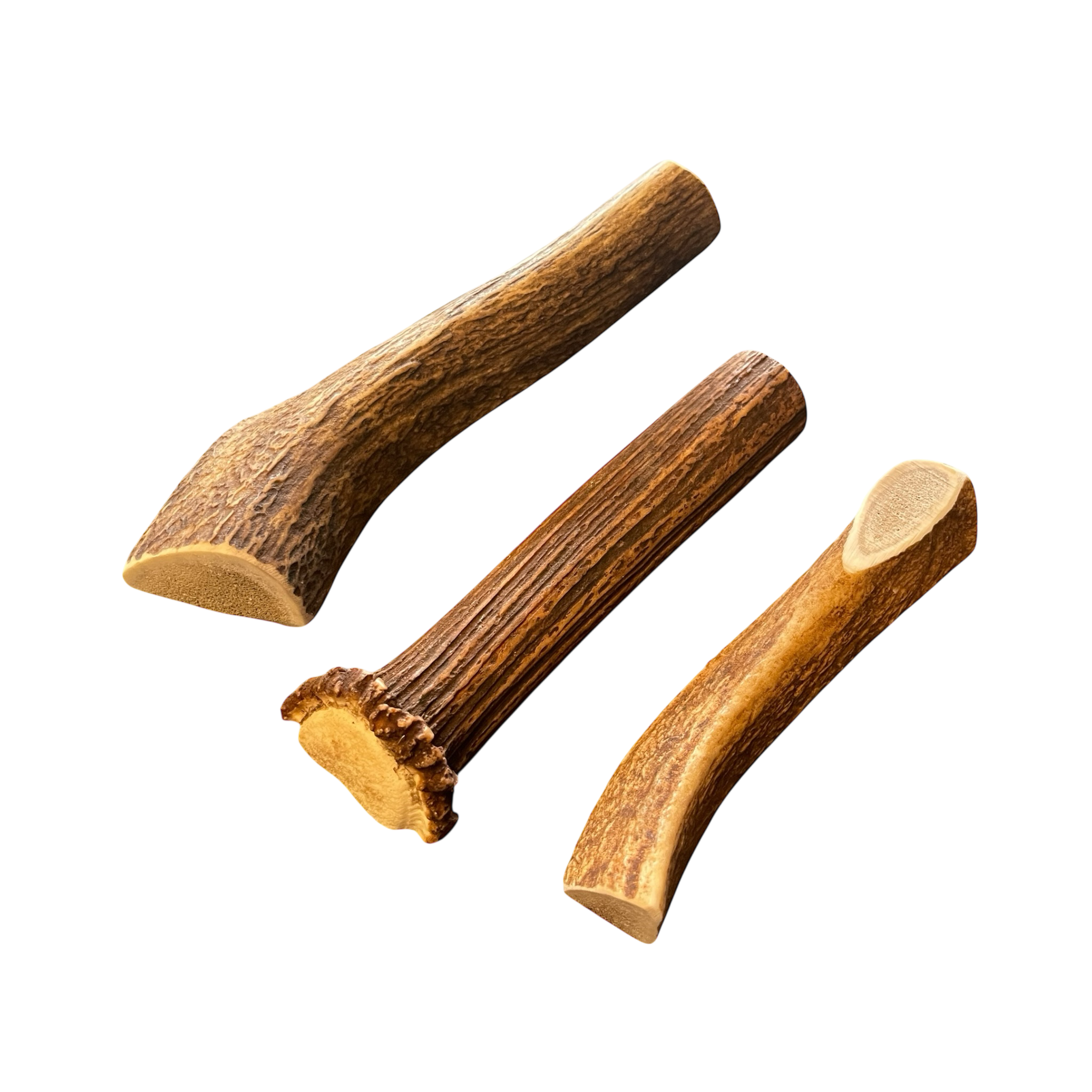 Rot Hirsch Geweihhälfte Kaustange