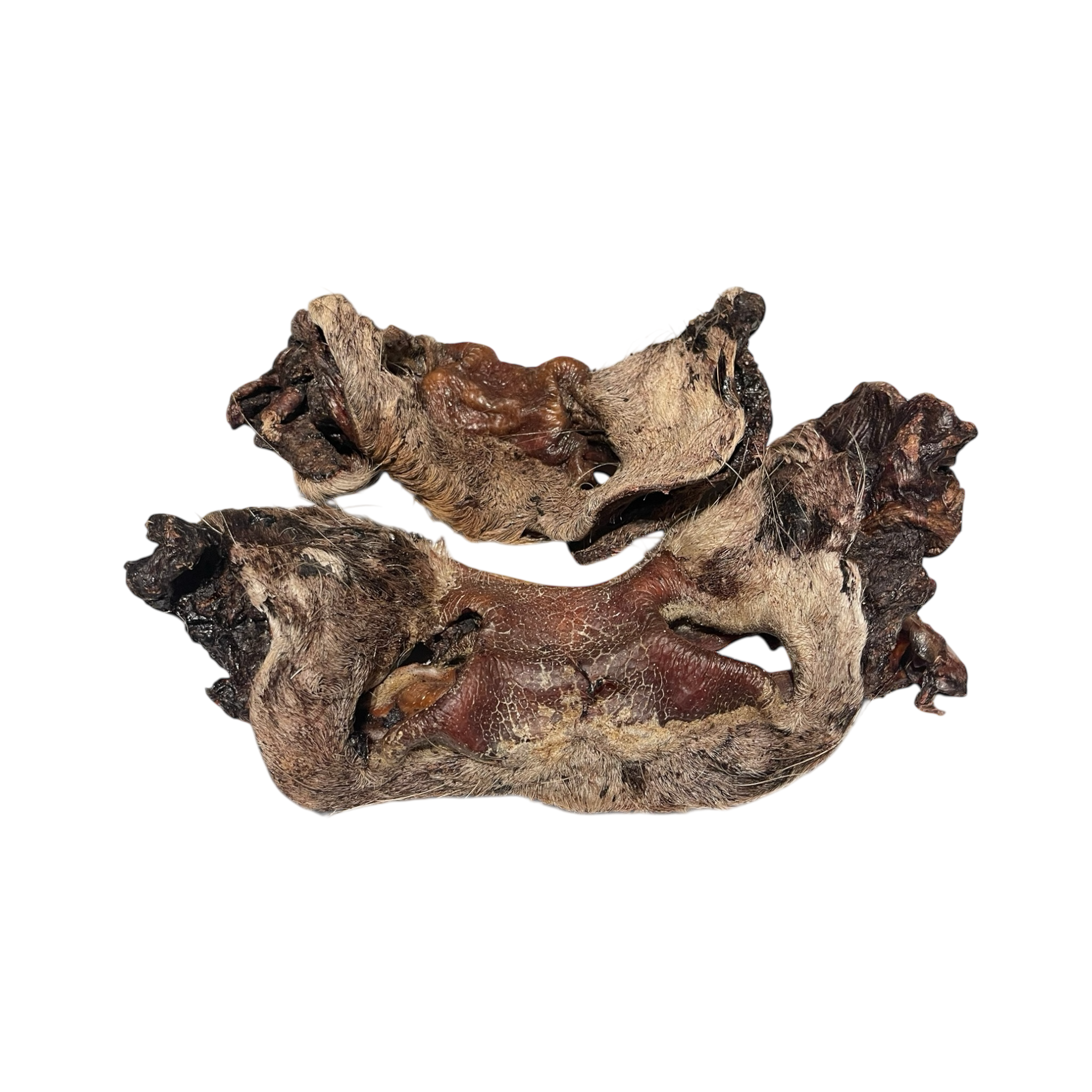 Rinder Nase mit Fell