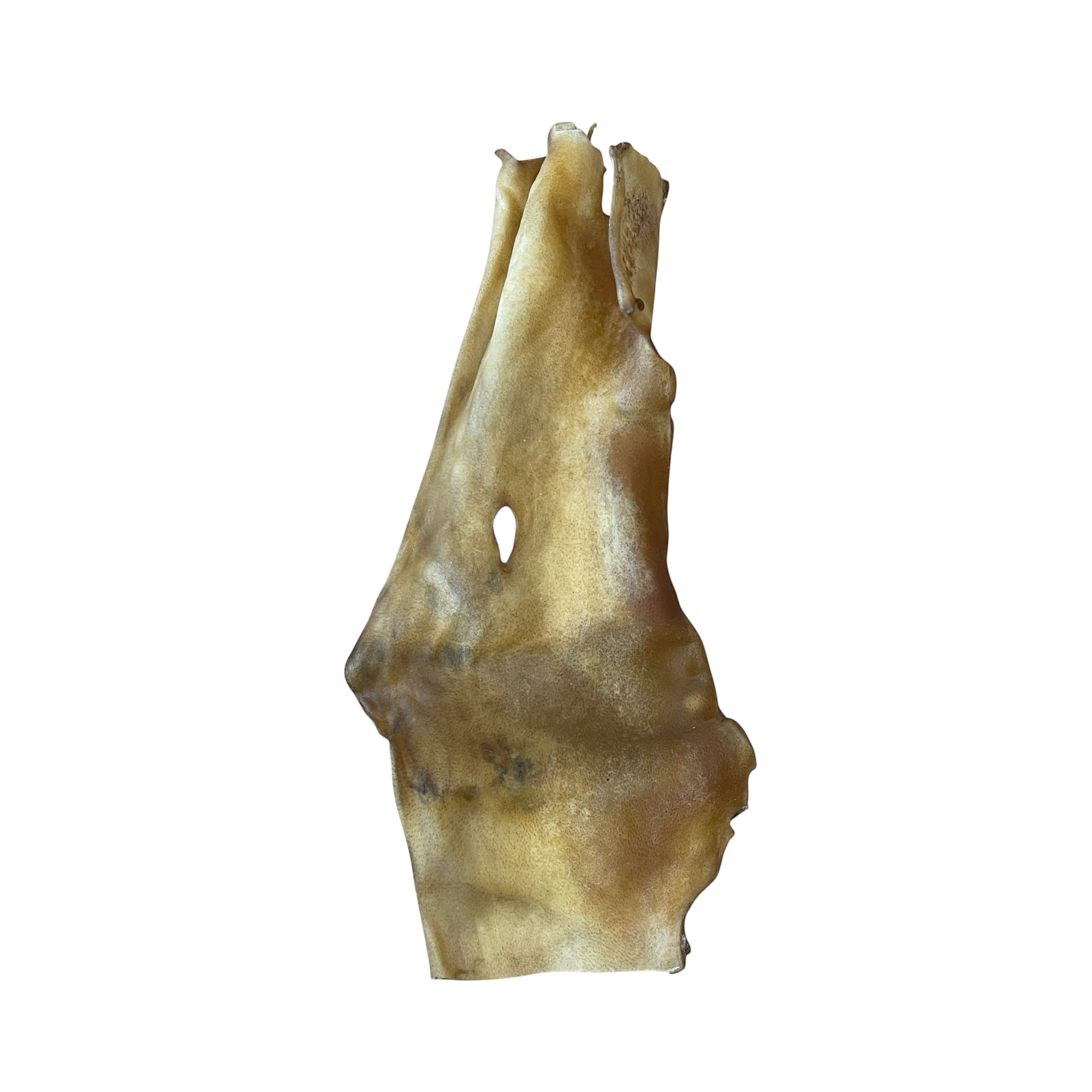 Rinder Haut Platte Grob