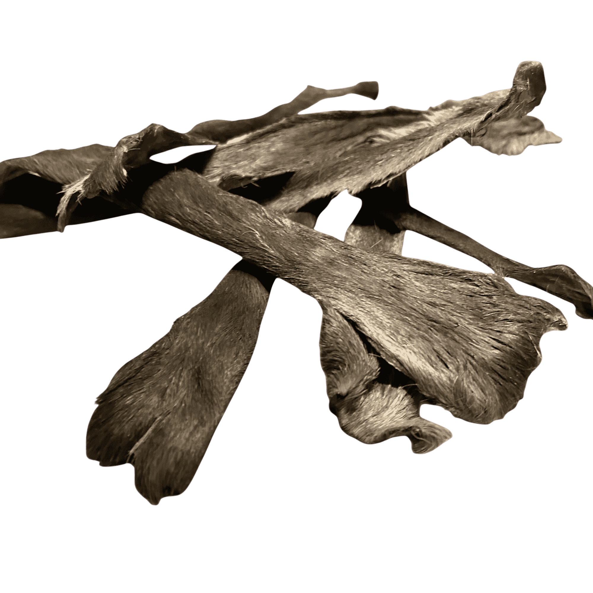 Rehhaut Stangen mit Fell