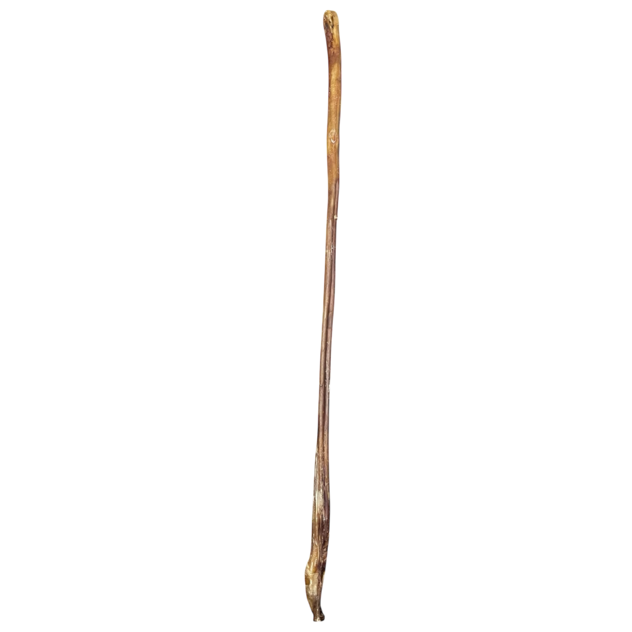 Ochsen Ziemer 100cm