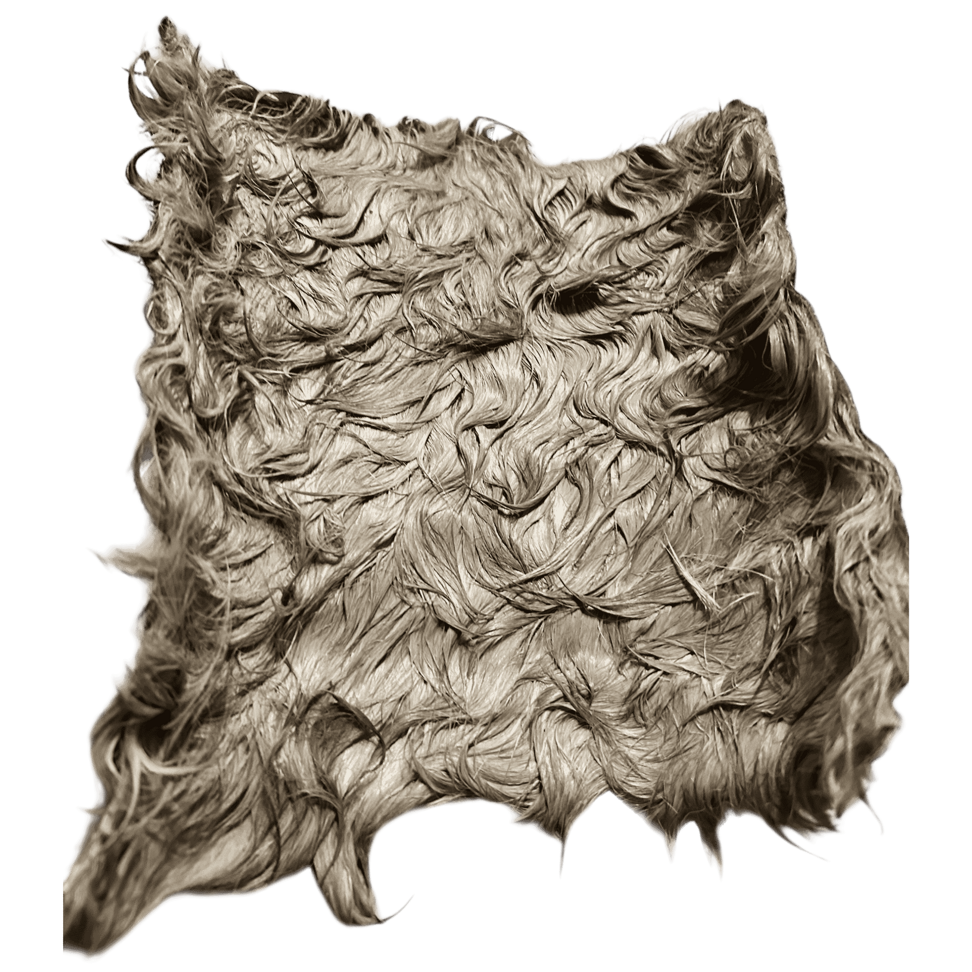 Pferde Haut Platten mit Fell