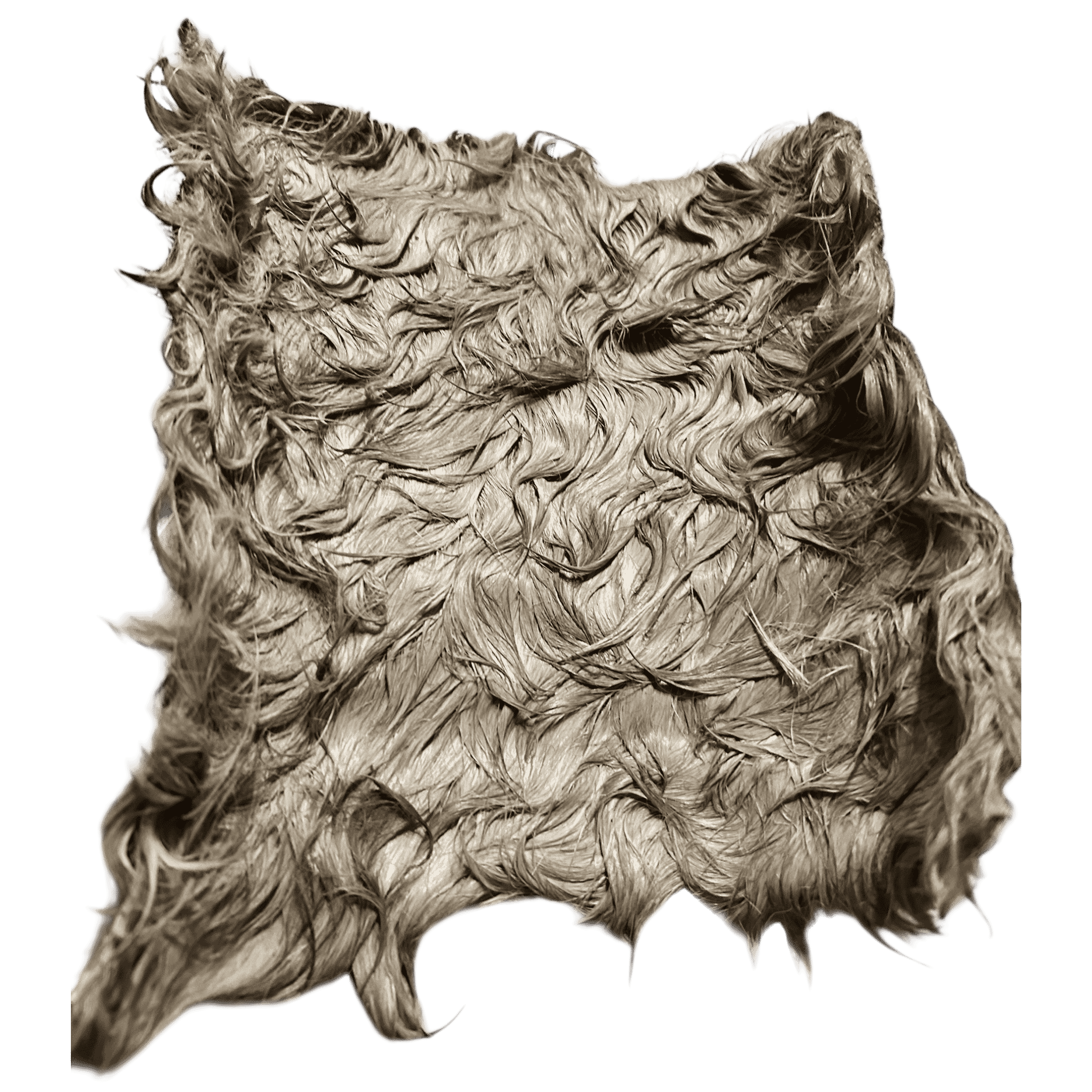 Pferde Haut Platten mit Fell