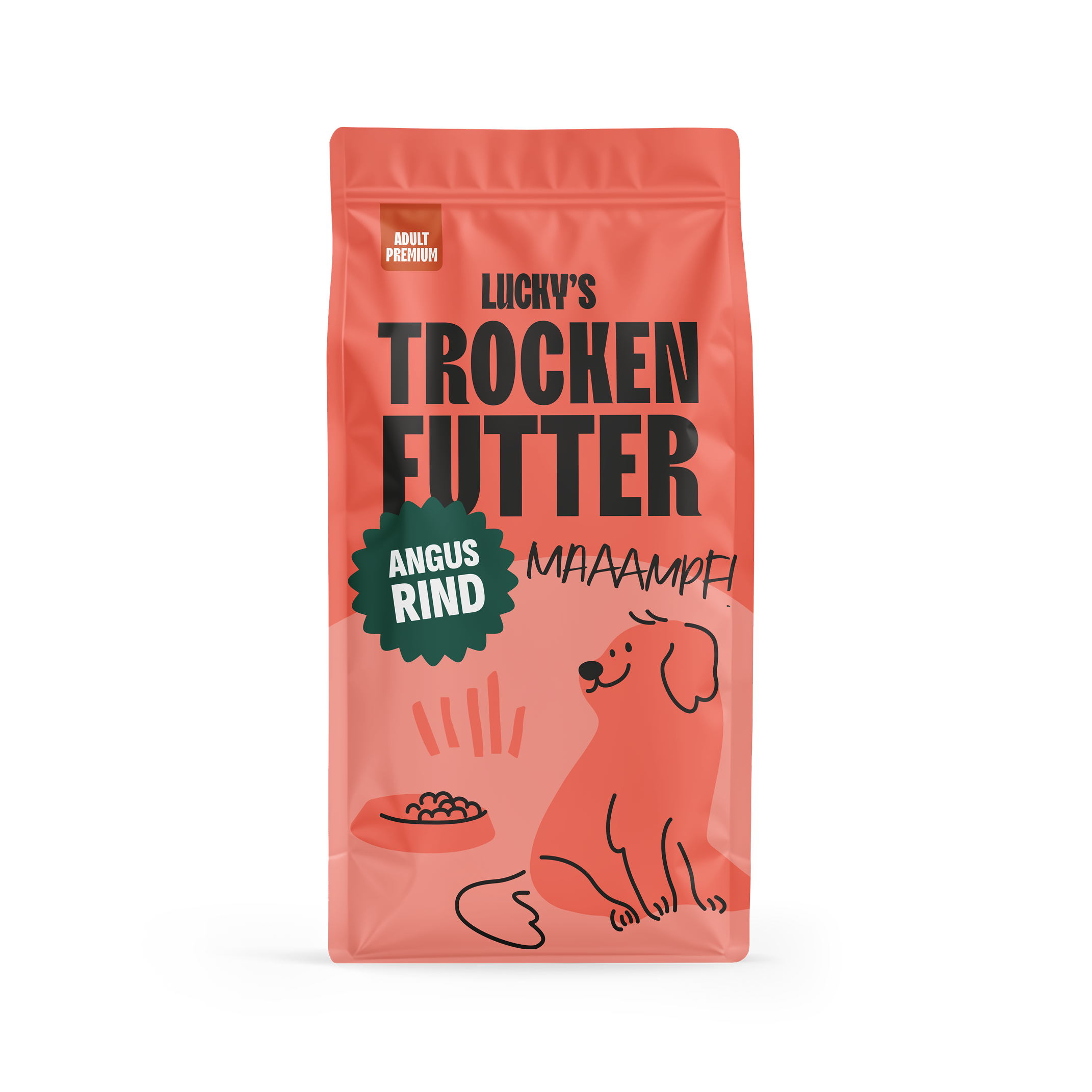 Angus Rind mit Karotte, grünen Bohnen, Blumenkohl, Tomate, Zucchini