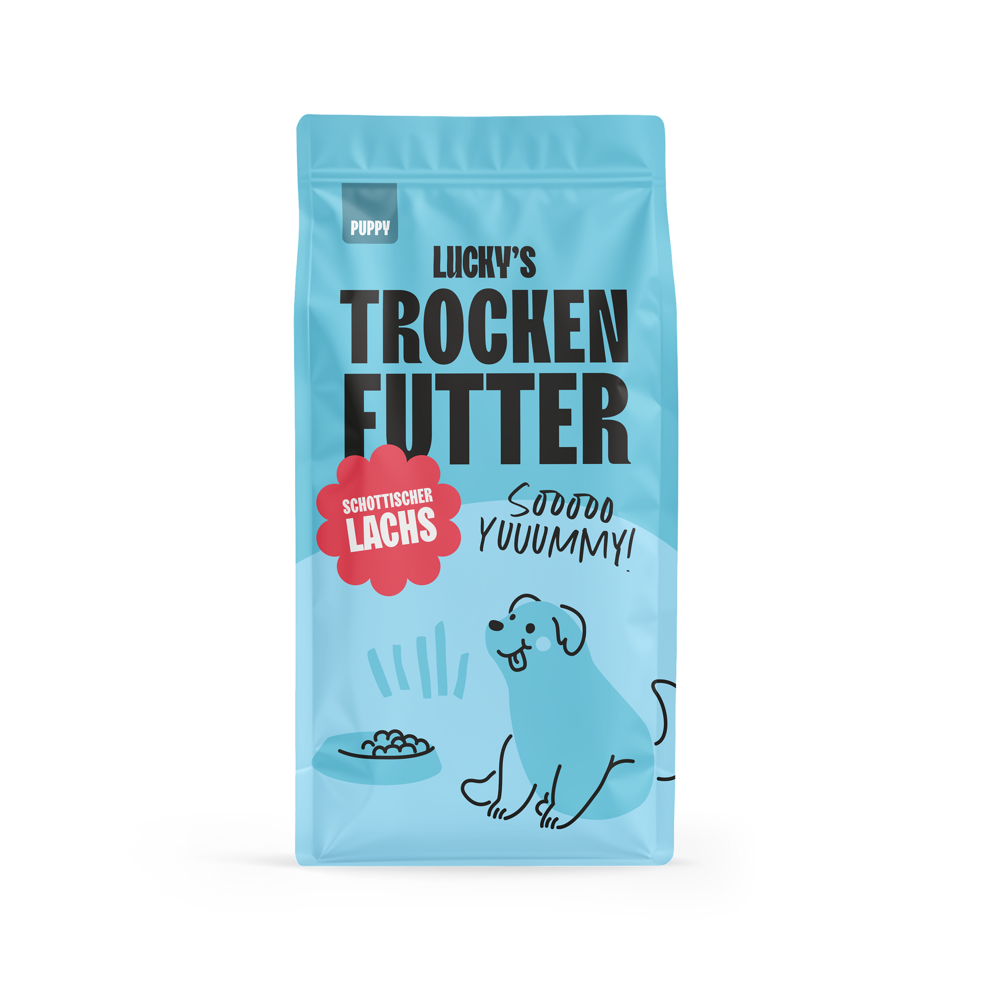 Schottischer Lachs mit Dill, Spinat, Fenchel und Spargel für Welpen